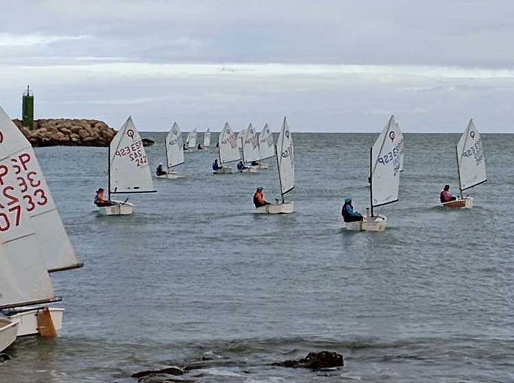 Gran actuación del Club de Actividades Náuticas Eslora en la Copa de Andalucía de Optimist